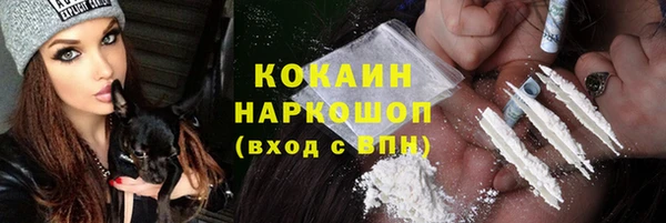 гидра Алексеевка